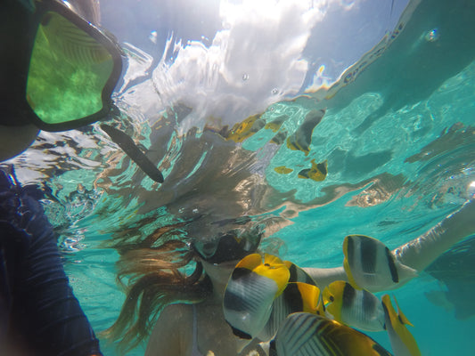 Snorkeling dans le lagon de Moorea : les meilleurs spots