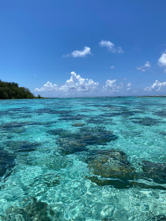 Une sortie en bateau dans le lagon de Moorea : à quoi s’attendre ?