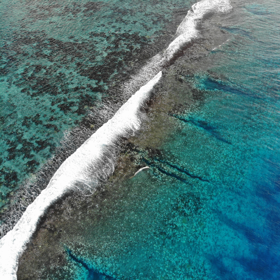 L'aventure Moorea