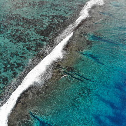 L'aventure Moorea