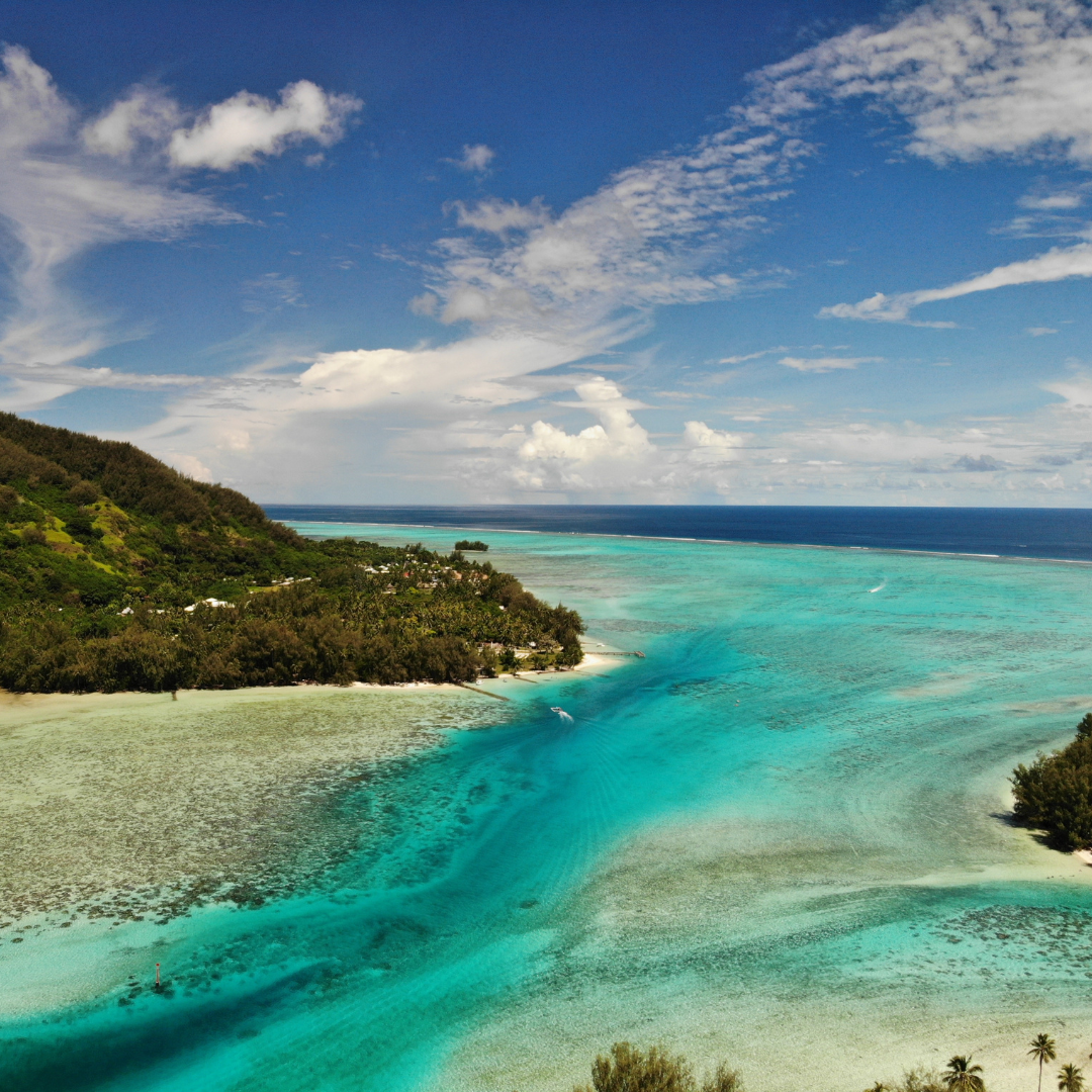 The Moorea adventure 